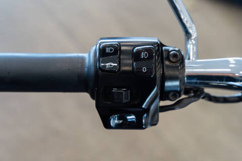 2015 Triumph Thunderbird