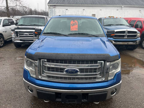 2014 Ford F-150 for sale at Auto Site Inc in Ravenna OH
