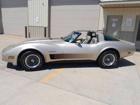 1982 Chevrolet Corvette for sale at Classic Car Deals in Cadillac MI
