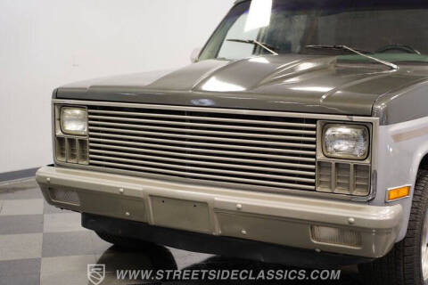 1981 Chevrolet C/K 10 Series