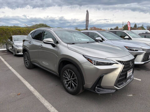 2024 Lexus NX 350
