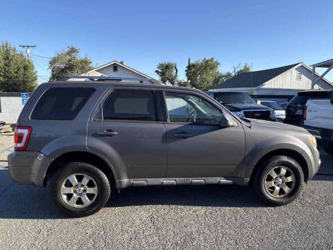 2011 Ford Escape Limited