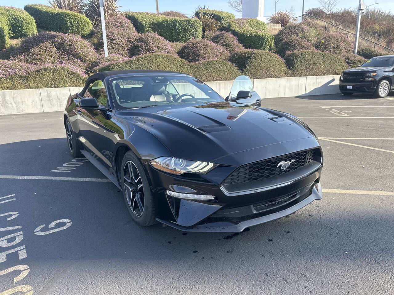 2022 Ford Mustang for sale at Envision Toyota of Milpitas in Milpitas, CA