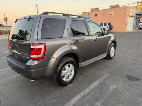 2011 Ford Escape XLT