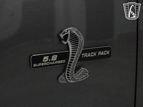 2014 Ford Shelby GT500