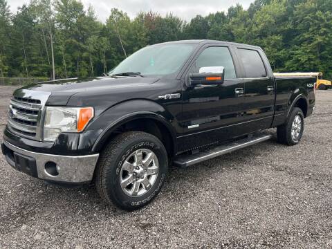 2013 Ford F-150 for sale at JEREMYS AUTOMOTIVE in Casco MI
