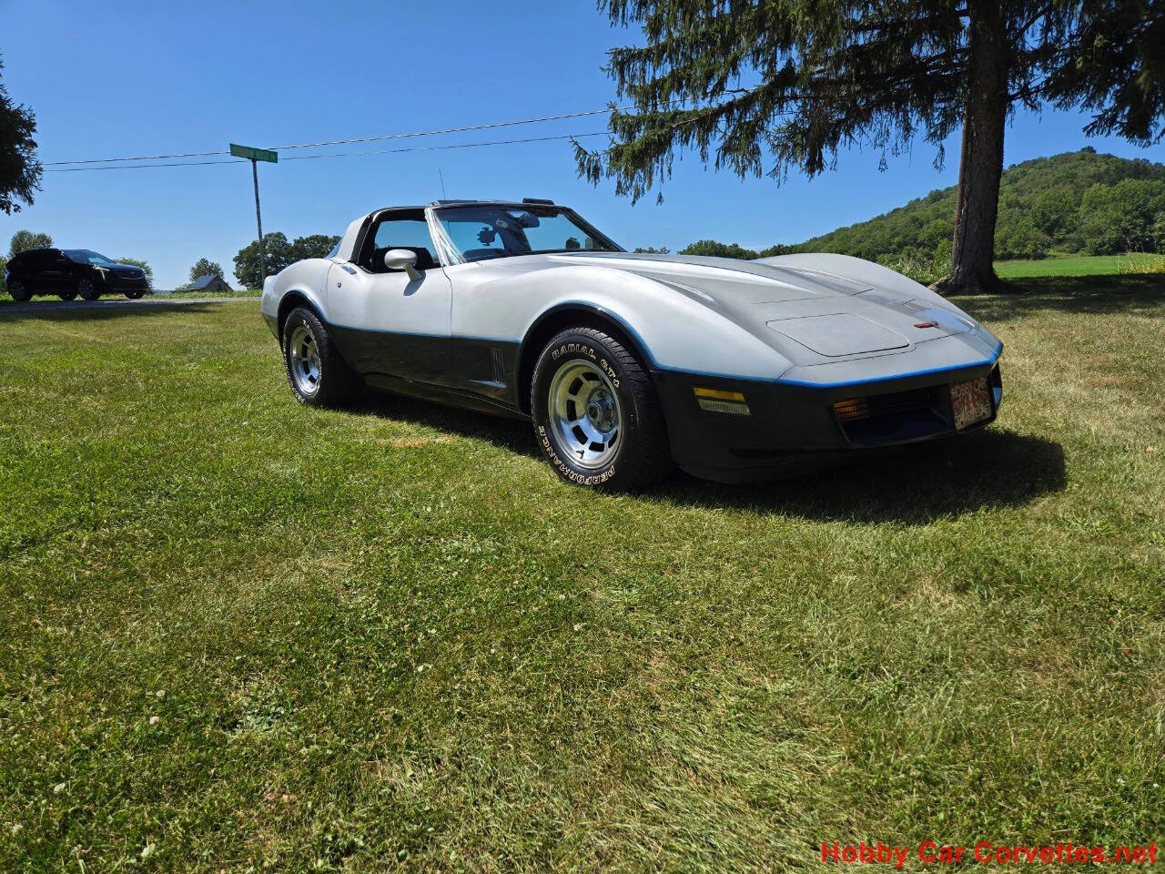 1981 Chevrolet Corvette 2