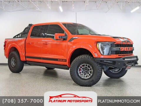 2021 Ford F-150 for sale at Vanderhall of Hickory Hills in Hickory Hills IL