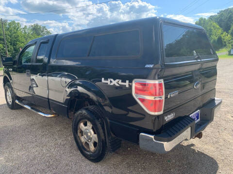 2010 Ford F-150 for sale at Court House Cars, LLC in Chillicothe OH