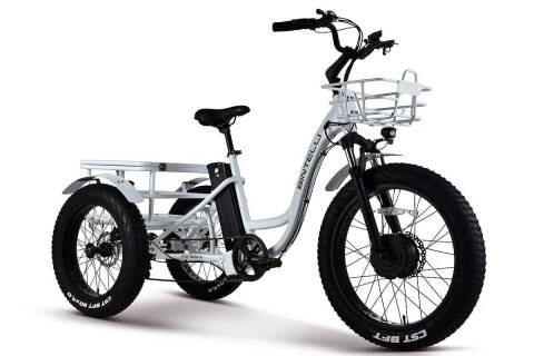 2023 Bintelli TRIO DELUXE