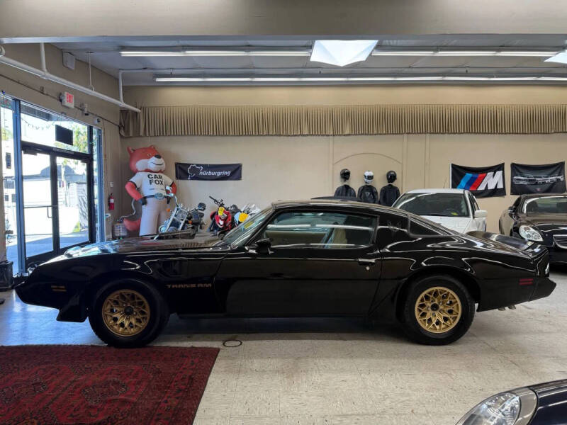 1981 Pontiac Firebird Trans Am