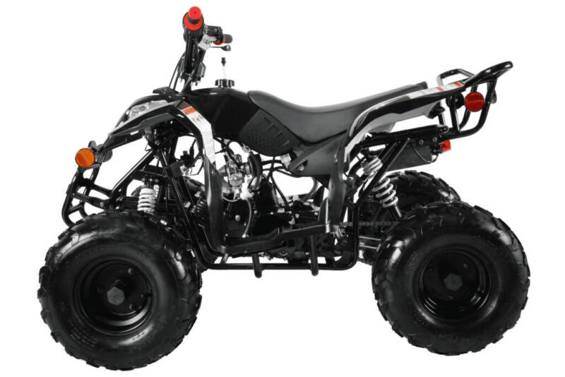 2025 Coolster 110cc 3050B