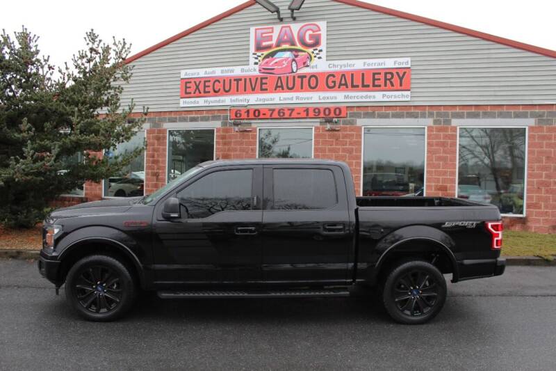 2019 Ford F-150 for sale at EXECUTIVE AUTO GALLERY INC in Walnutport PA