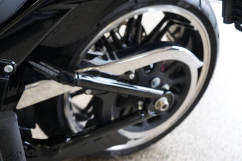 2019 Harley-Davidson SOFT TAIL
