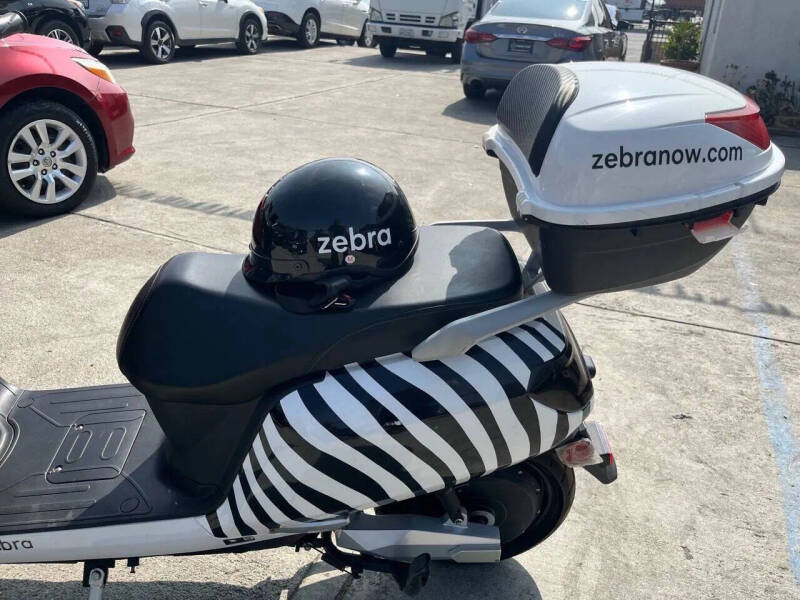 2020 Zebra E-bike