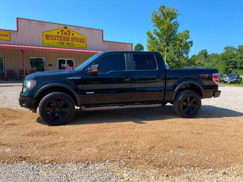 2011 Ford F-150 for sale at TNT Truck Sales in Poplar Bluff MO