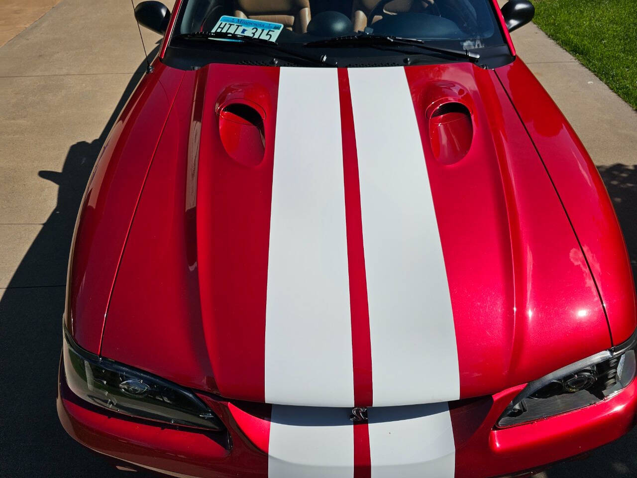 1996 Ford Mustang SVT Cobra 91