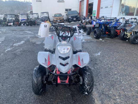 2025 Tao Motors B110