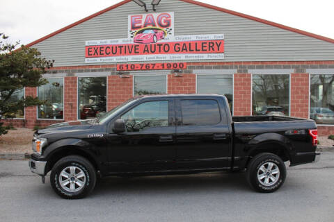 2020 Ford F-150 for sale at EXECUTIVE AUTO GALLERY INC in Walnutport PA