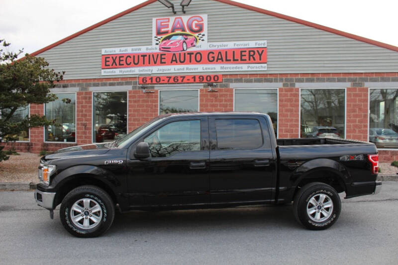 2020 Ford F-150 for sale at EXECUTIVE AUTO GALLERY INC in Walnutport PA