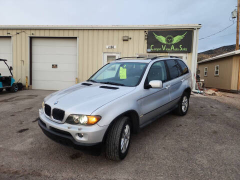 2004 BMW X5 for sale at Canyon View Auto Sales in Cedar City UT