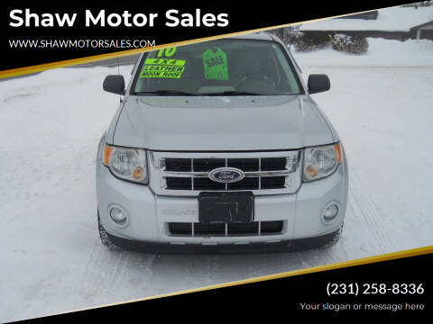 2010 Ford Escape for sale at Shaw Motor Sales in Kalkaska MI