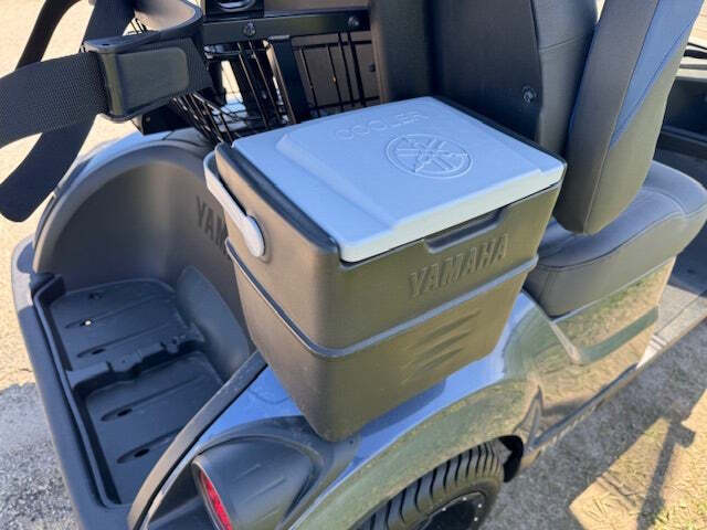 2019 Yamaha GOLF CART
