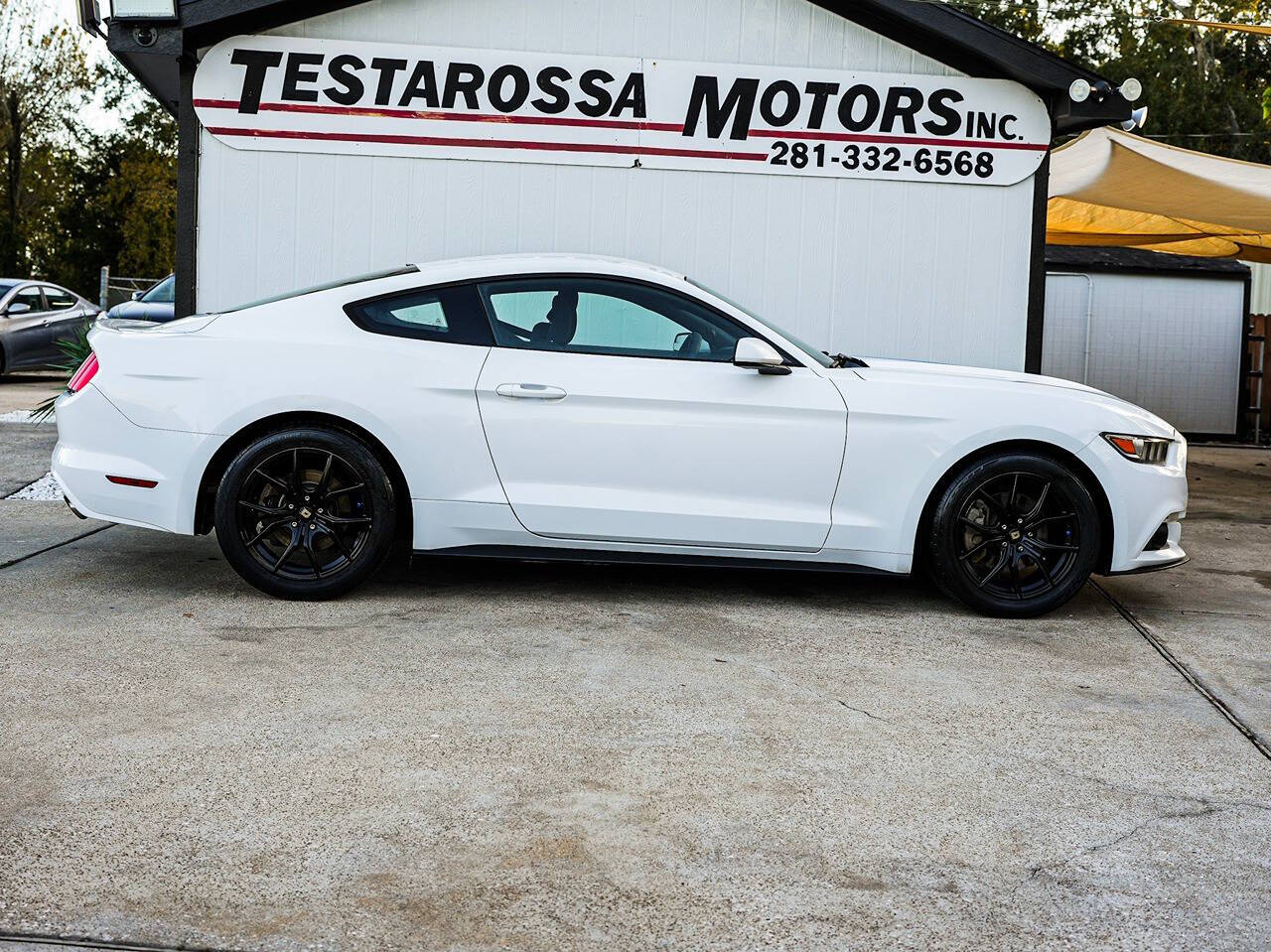 2015 Ford Mustang for sale at Testarossa Motors in League City, TX