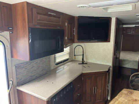 2015 Ford GEORGETOWN FOREST RIVER