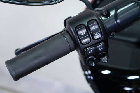 2021 Harley-Davidson Road Glide Special