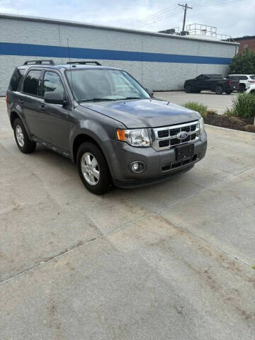 2011 Ford Escape XLT