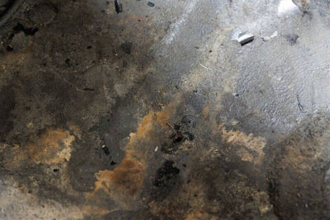 1979 Volkswagen Beetle