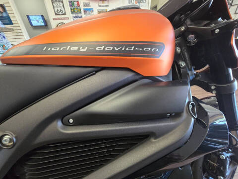 2022 Harley-Davidson LIVE WIRE 1