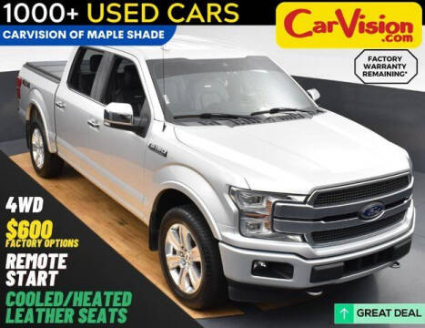 2019 Ford F-150 for sale at Car Vision of Trooper in Norristown PA