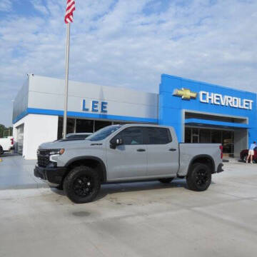 2024 Chevrolet Silverado 1500 for sale at LEE CHEVROLET in Washington NC