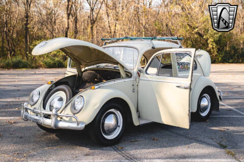 1965 Volkswagen Beetle