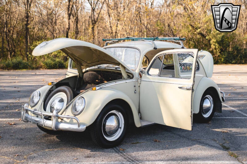 1965 Volkswagen Beetle