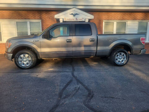 2010 Ford F-150 for sale at UPSTATE AUTO INC in Germantown NY