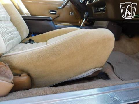 1981 Pontiac Firebird Trans Am