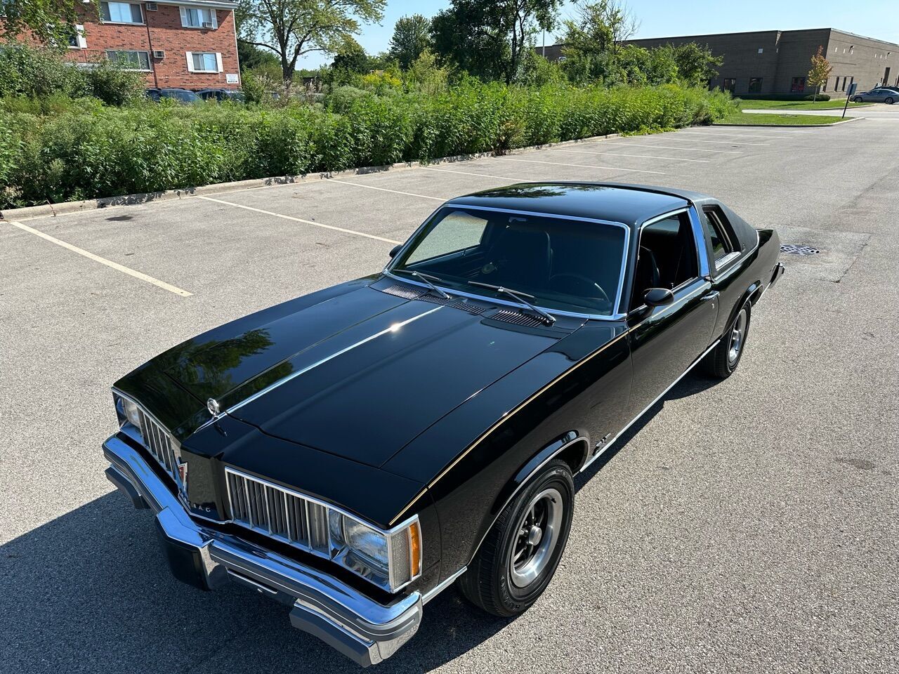 1978 Pontiac Phoenix 22