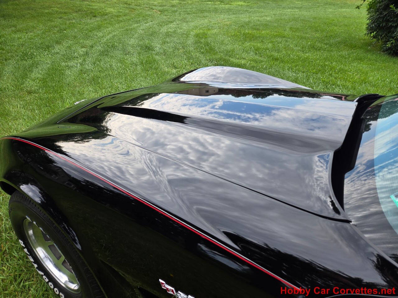 1979 Chevrolet Corvette 18