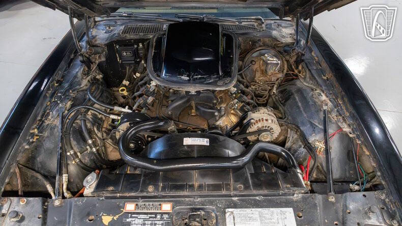 1979 Pontiac Trans Am