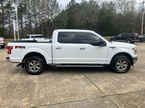 2018 Ford F-150 for sale at ALLEN JONES USED CARS INC in Steens MS