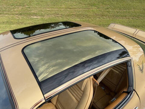 1978 Pontiac Trans Am