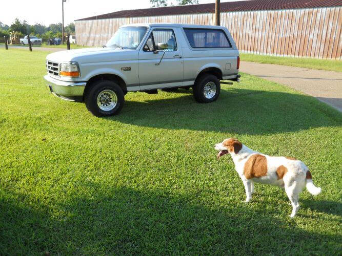 1996 Ford Bronco XL