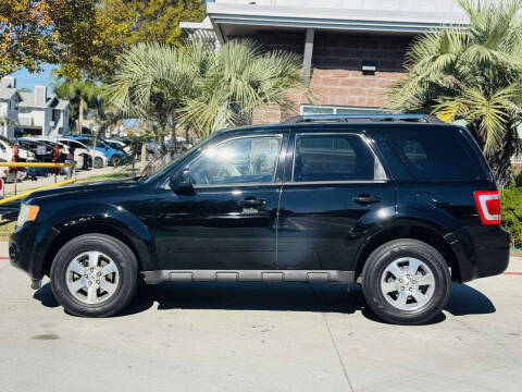 2012 Ford Escape Limited