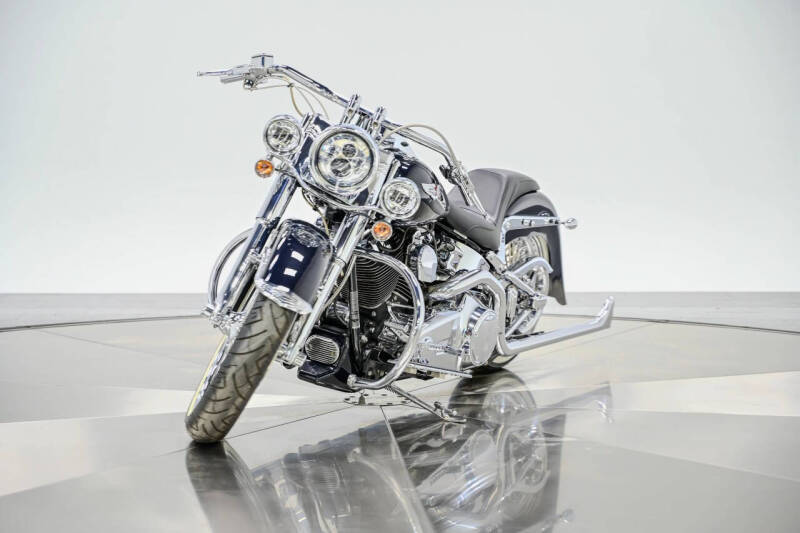 2009 Harley-Davidson FLTSN