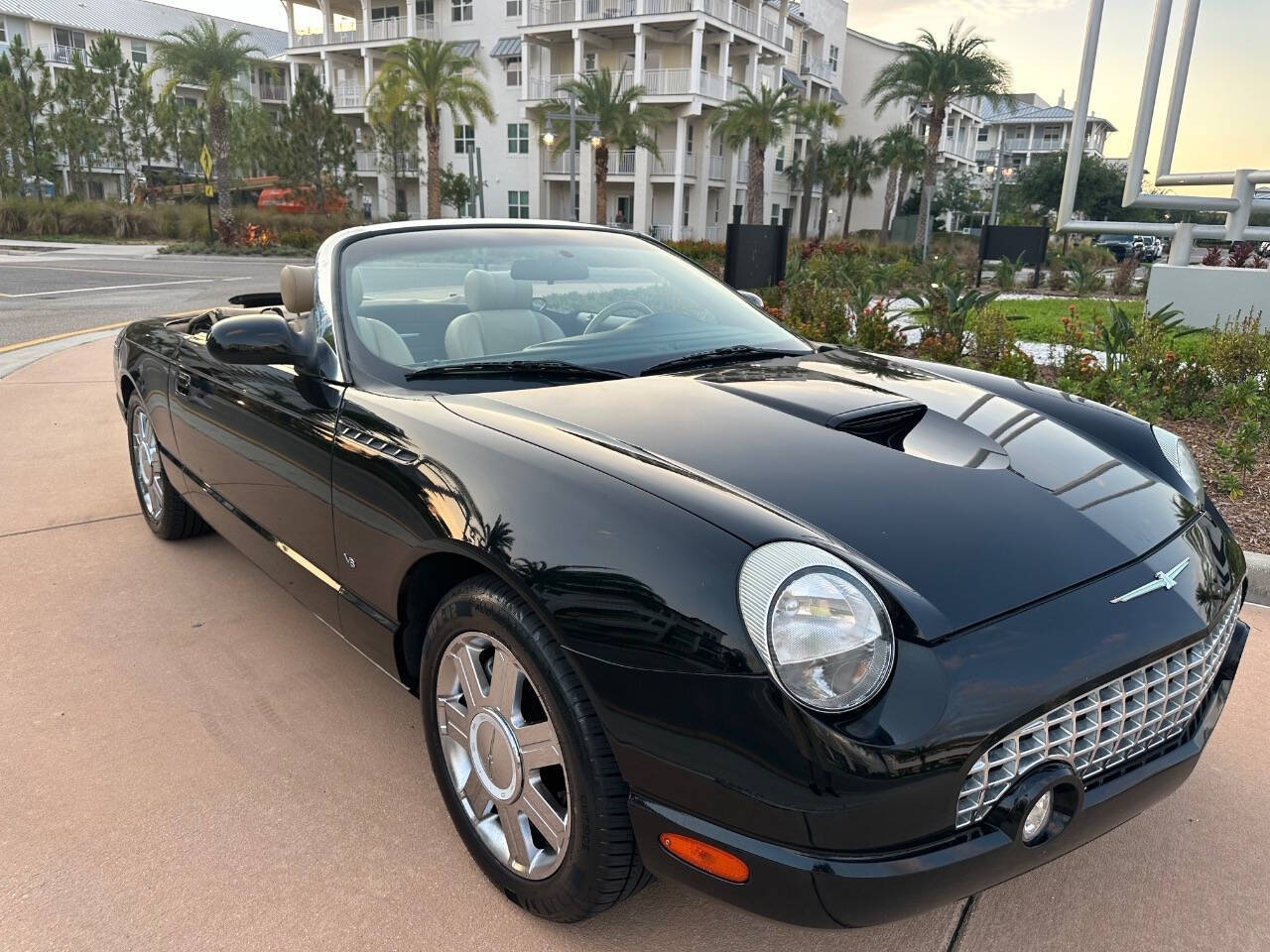 2004 Ford Thunderbird for sale at EUROPEAN MOTORCARS OF TAMPA in Tampa, FL