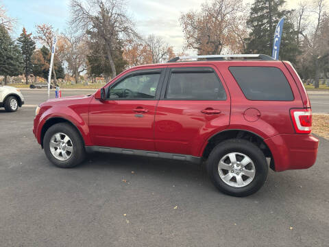2010 Ford Escape Limited