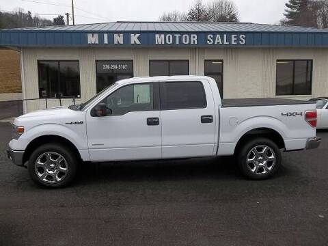 2014 Ford F-150 for sale at MINK MOTOR SALES INC in Galax VA